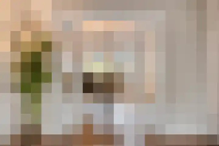Berkenschakel 42 Bathmen thumbnail 7