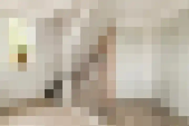 Berkenschakel 7 Bathmen thumbnail 13