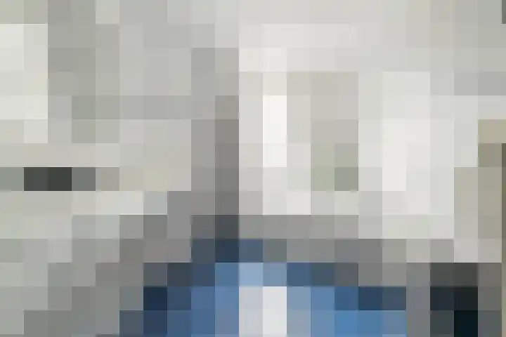 Berkenschakel 7 Bathmen thumbnail 19