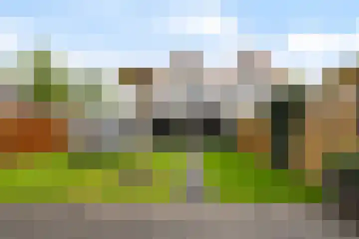 Berkenschakel 7 Bathmen thumbnail 27