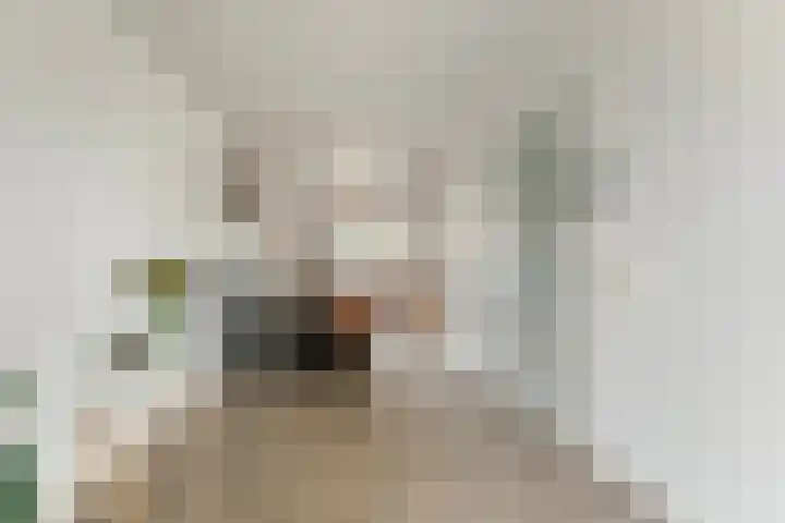 Berkenschakel 7 Bathmen thumbnail 5
