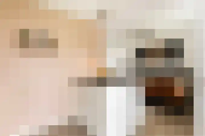 Berkenschakel 7 Bathmen thumbnail 7