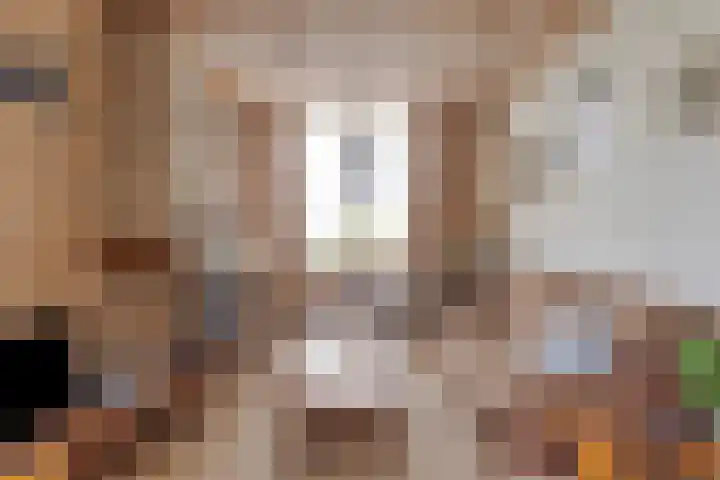 Berkenstraat 10 Oosteind thumbnail 10