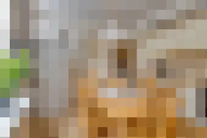 Berkenstraat 10 Oosteind thumbnail 12