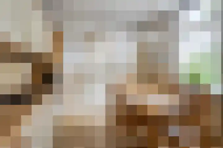 Berkenstraat 10 Oosteind thumbnail 13