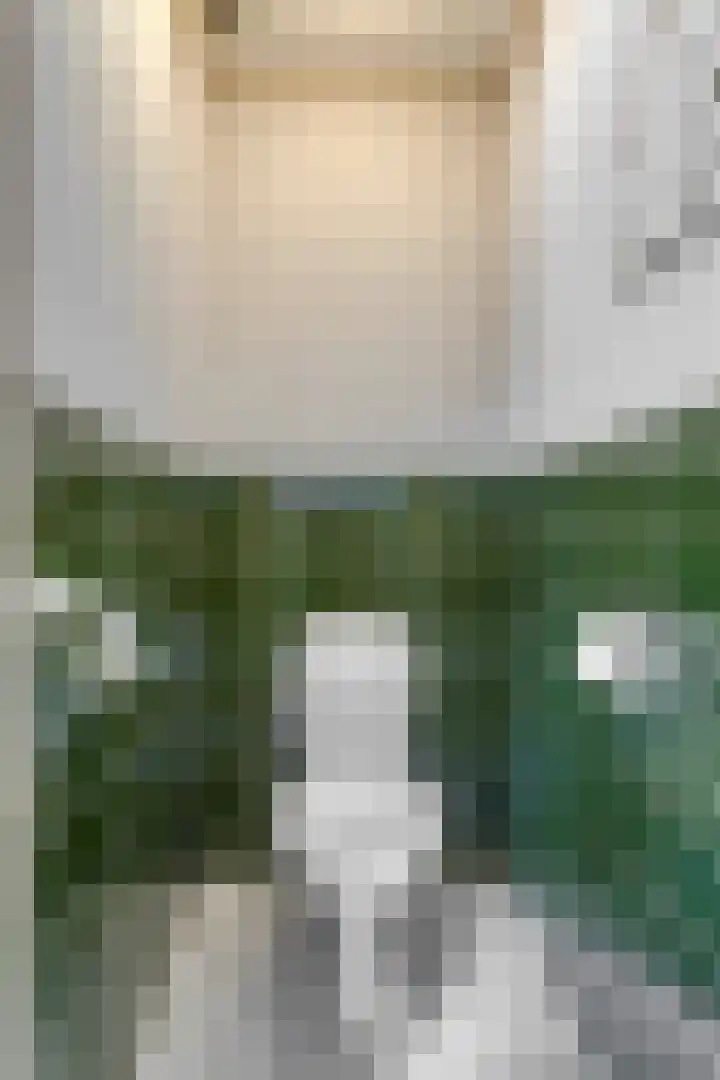 Berkenstraat 10 Oosteind thumbnail 20
