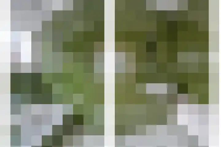 Berkenstraat 10 Oosteind thumbnail 22