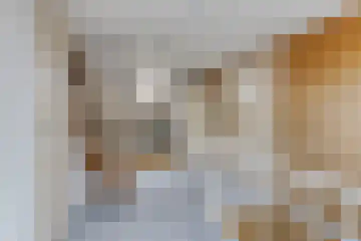 Berkenstraat 10 Oosteind thumbnail 23
