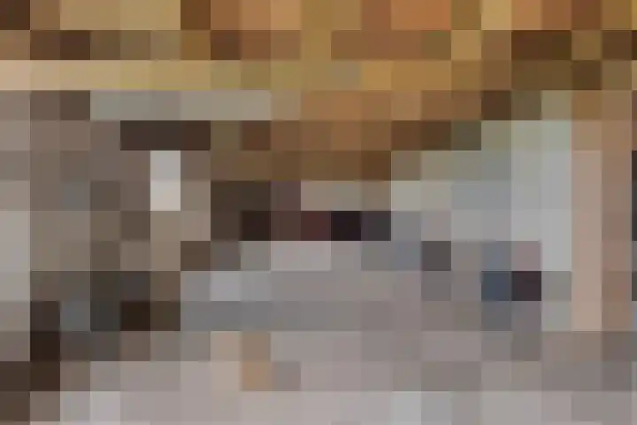 Berkenstraat 10 Oosteind thumbnail 34