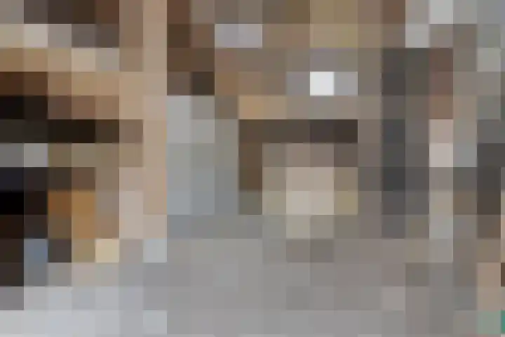Berkenstraat 10 Oosteind thumbnail 35