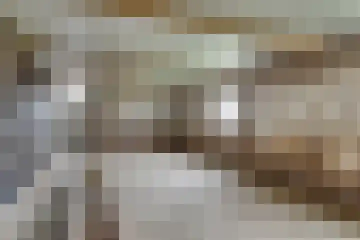 Berkenstraat 10 Oosteind thumbnail 37