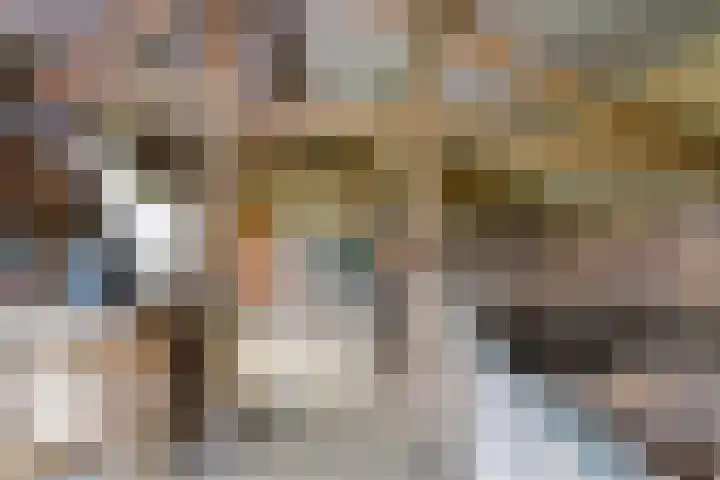 Berkenstraat 10 Oosteind thumbnail 45