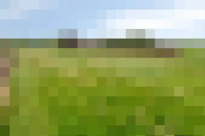 Berkenstraat 10 Oosteind thumbnail 61