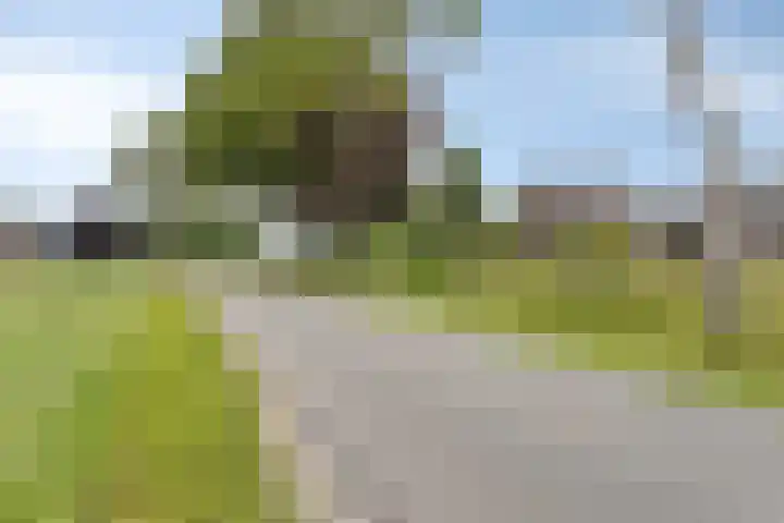 Berkenstraat 10 Oosteind thumbnail 64