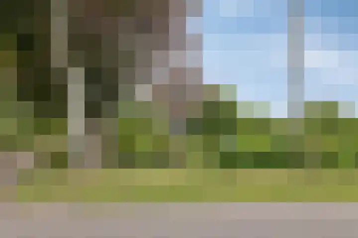 Berkenstraat 10 Oosteind thumbnail 65