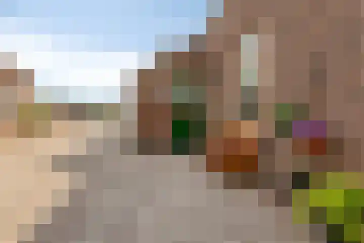Berkenstraat 10 Oosteind thumbnail 66