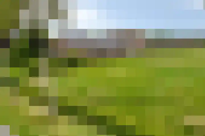Berkenstraat 10 Oosteind thumbnail 67