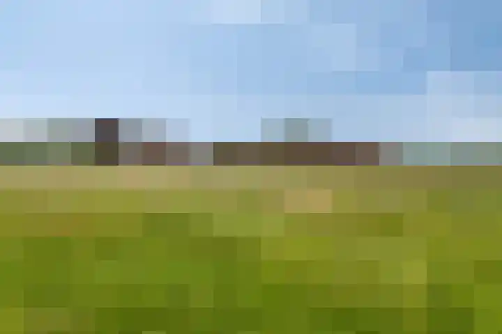 Berkenstraat 10 Oosteind thumbnail 68