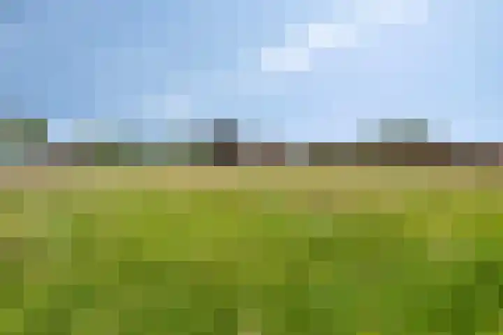 Berkenstraat 10 Oosteind thumbnail 69