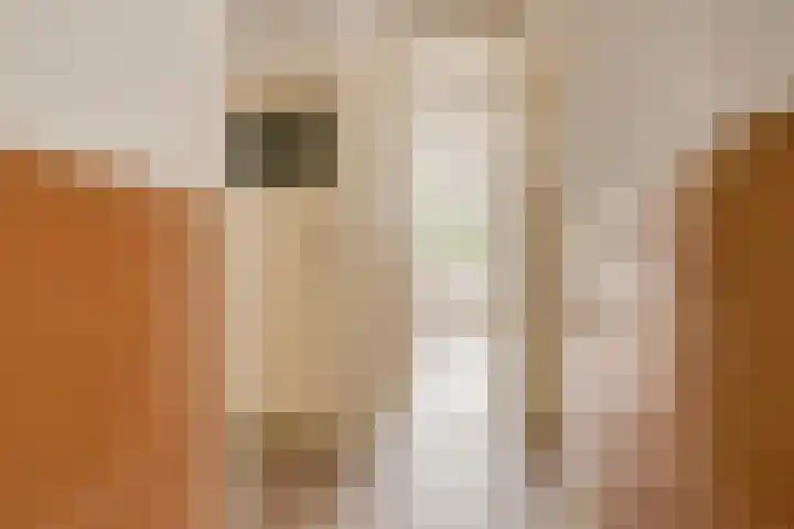 Berkenstraat 12 Duivendrecht thumbnail 14