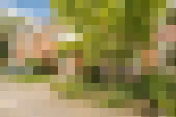 Berkenstraat 12 Duivendrecht thumbnail 30