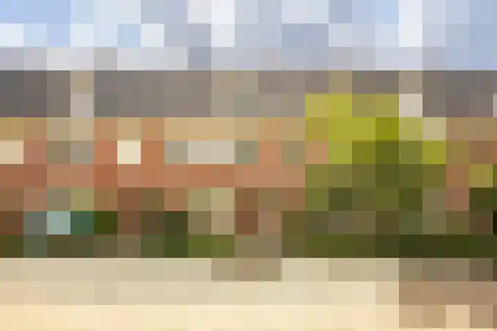 Berkenstraat 12 Duivendrecht thumbnail 31