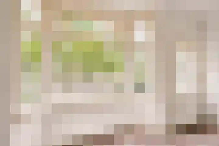 Berkenstraat 12 Duivendrecht thumbnail 4