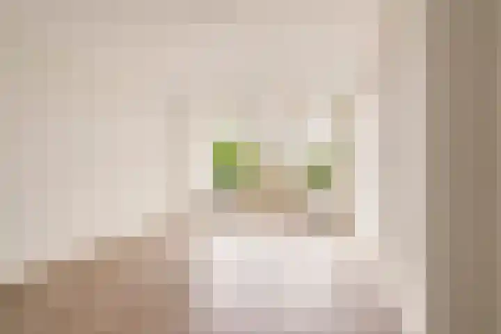 Berkenstraat 12 Duivendrecht thumbnail 8
