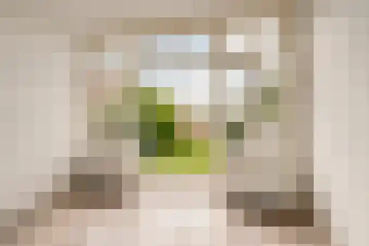 Berkenstraat 12 Duivendrecht thumbnail 9