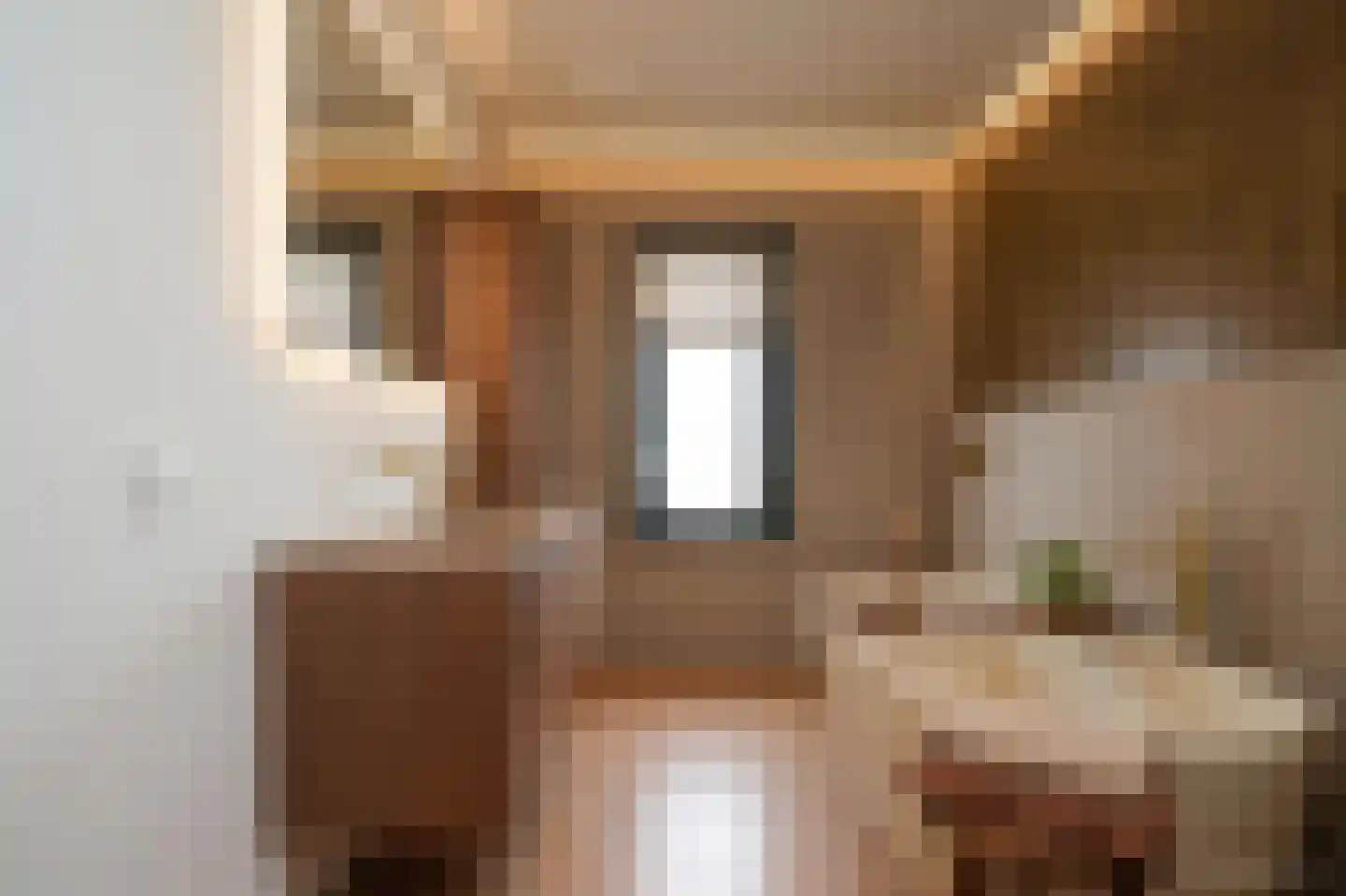 Berkenstraat 13 Boven-Leeuwen thumbnail 19