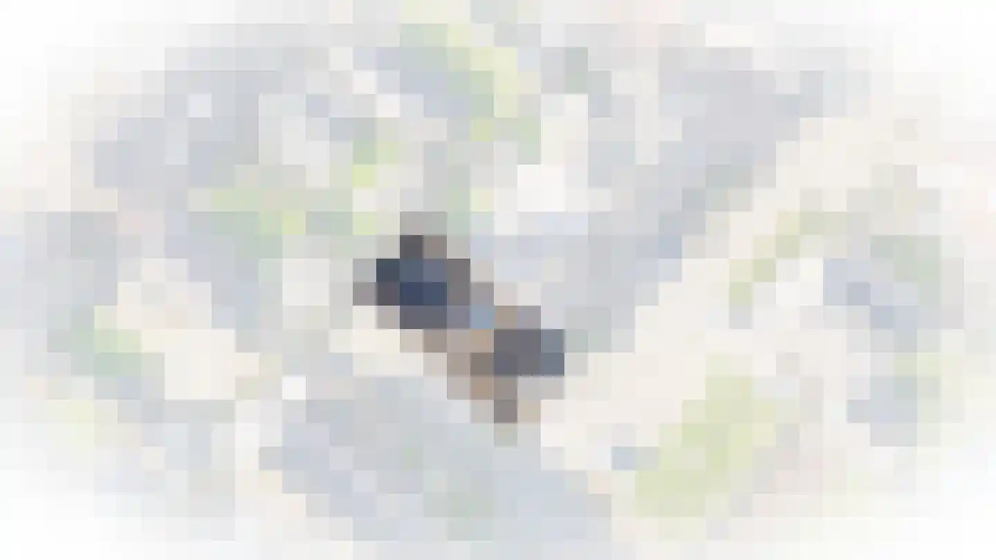 Berkenstraat 13 Boven-Leeuwen thumbnail 39