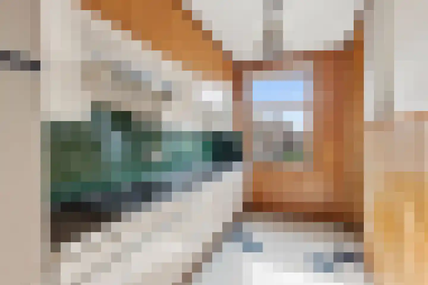 Berkenstraat 13 Duivendrecht thumbnail 10