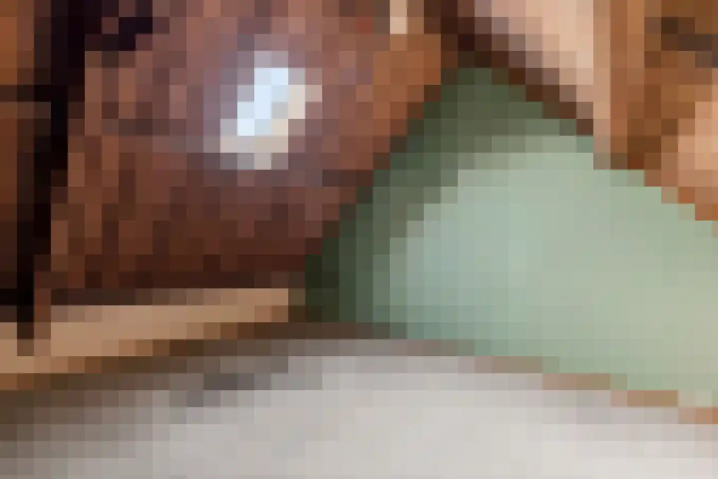 Berkenstraat 13 Duivendrecht thumbnail 32