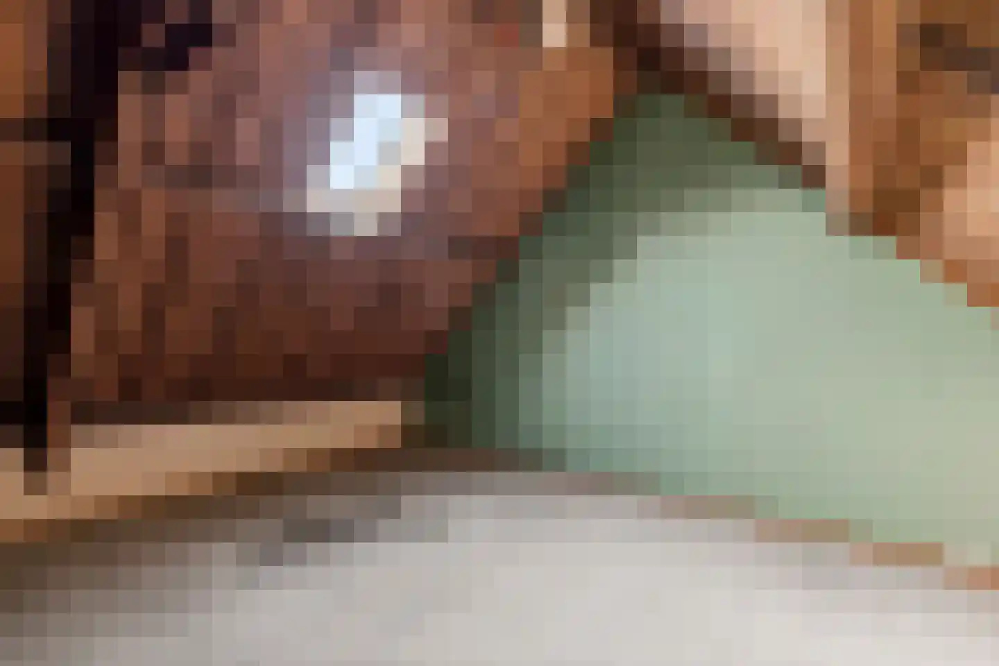 Berkenstraat 13 Duivendrecht thumbnail 33