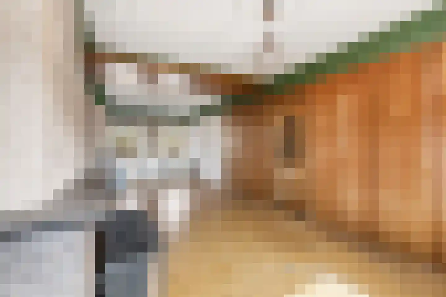 Berkenstraat 13 Duivendrecht thumbnail 8