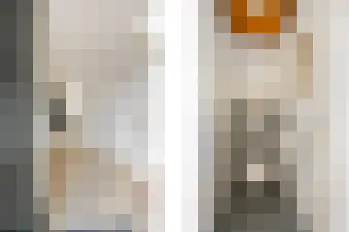 Berkenstraat 14 Huissen thumbnail 6