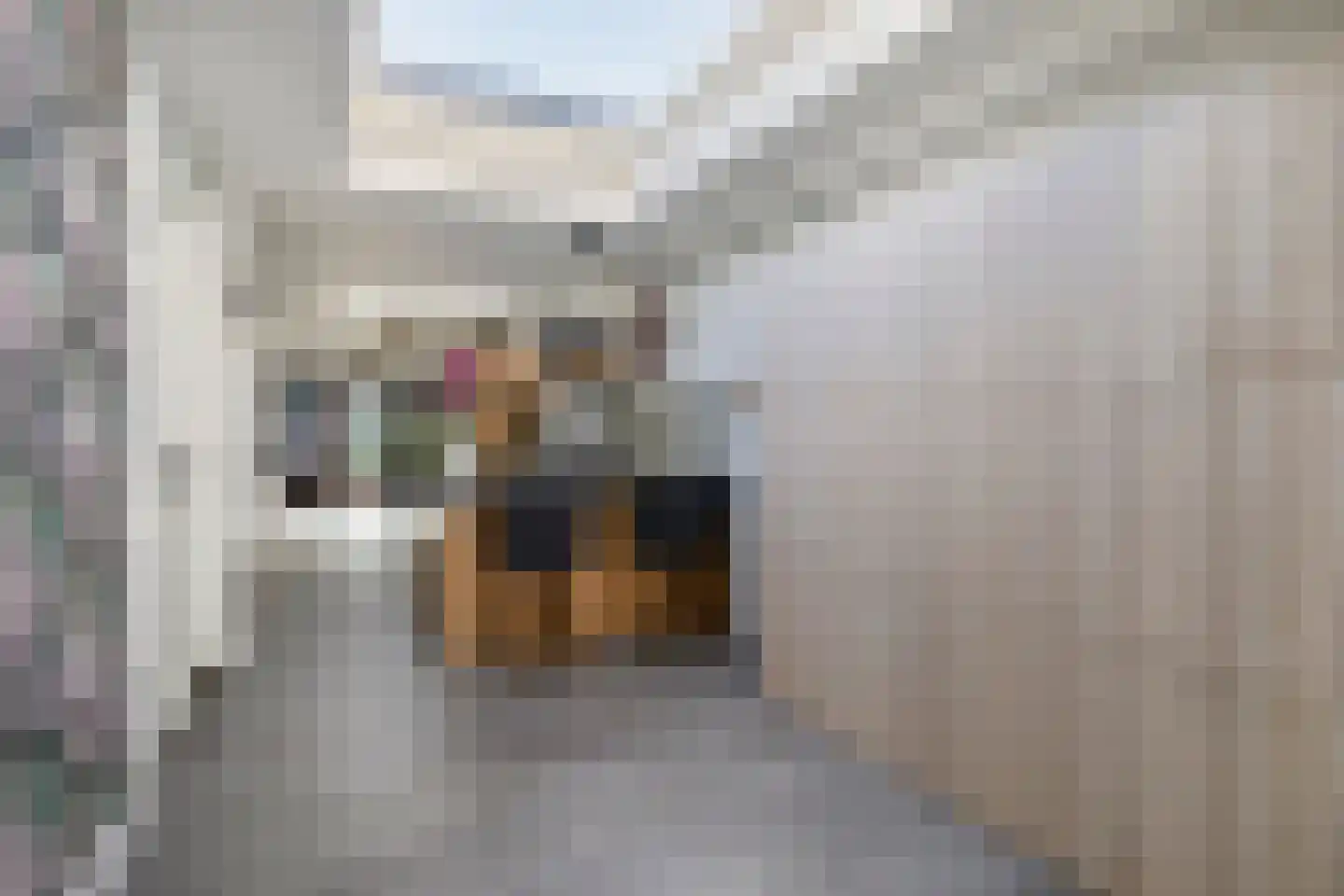 Berkenstraat 14 Valkenswaard thumbnail 10