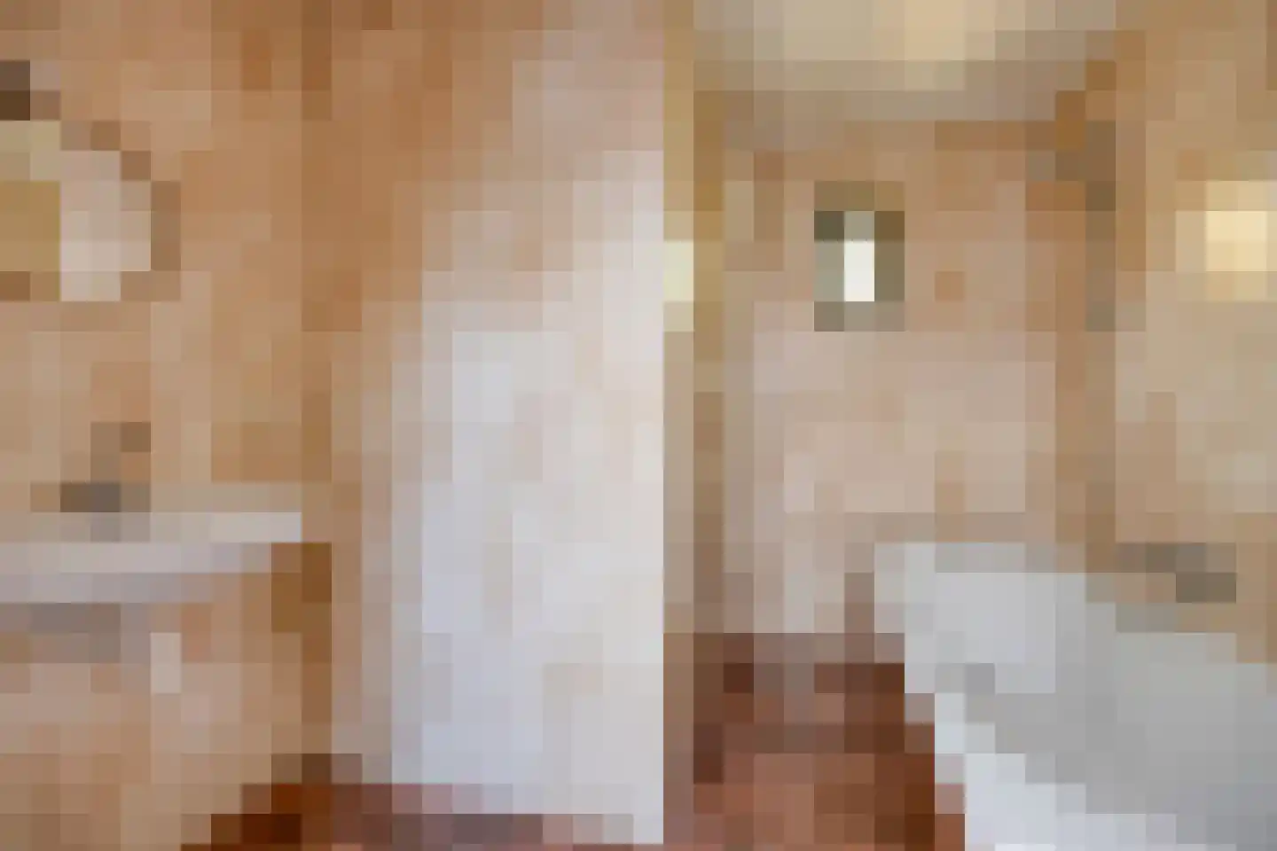 Berkenstraat 14 Valkenswaard thumbnail 18