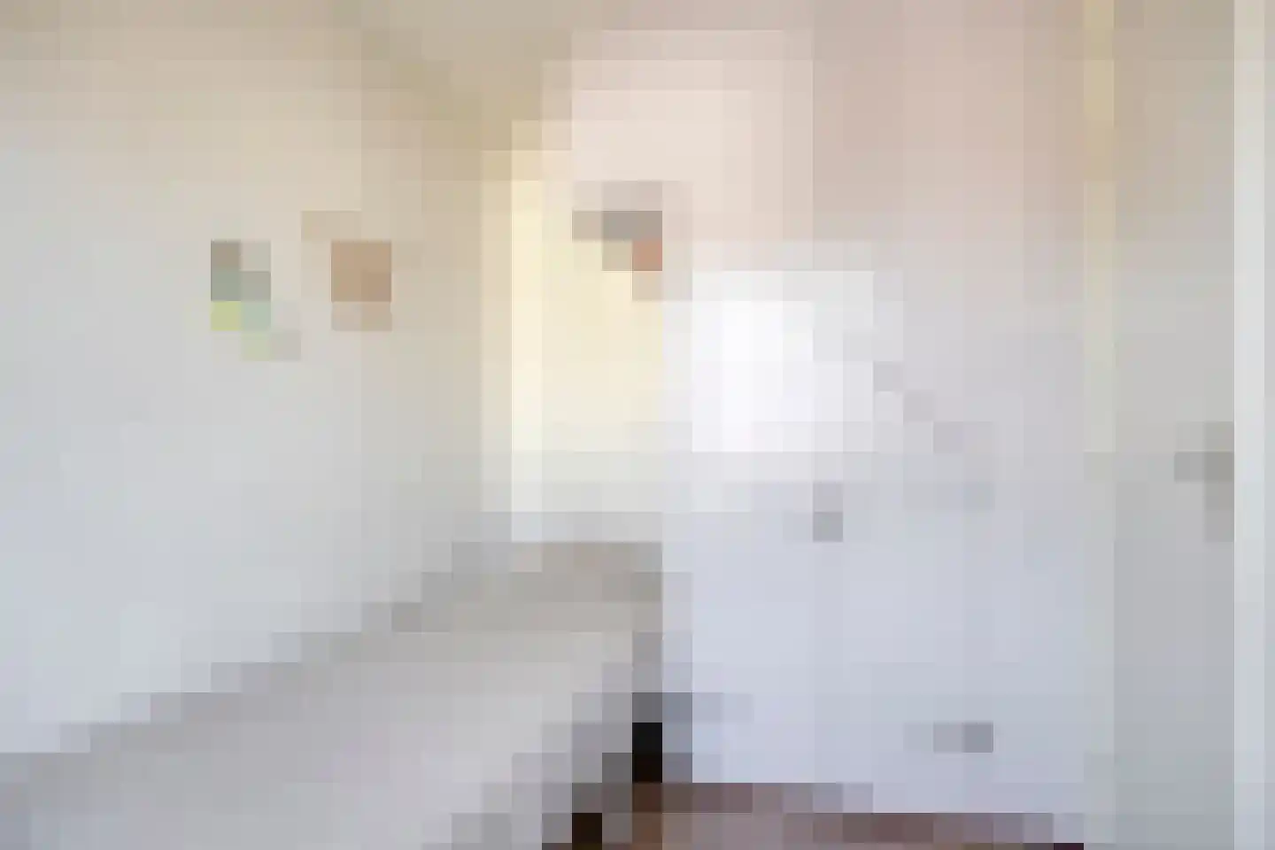 Berkenstraat 14 Valkenswaard thumbnail 23