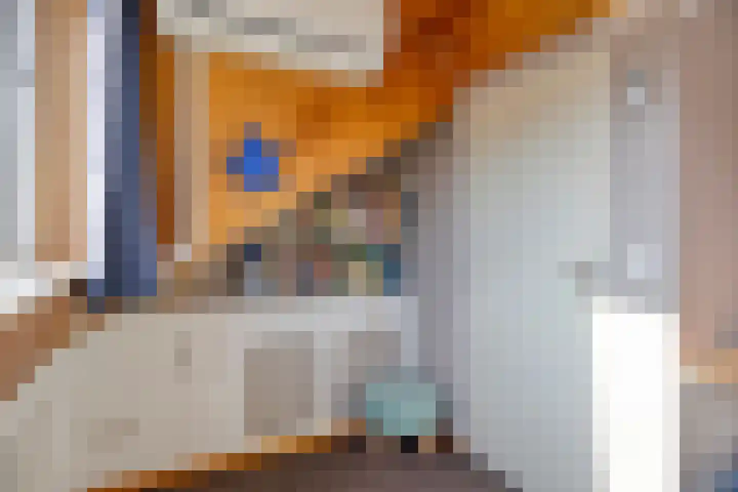Berkenstraat 14 Valkenswaard thumbnail 28