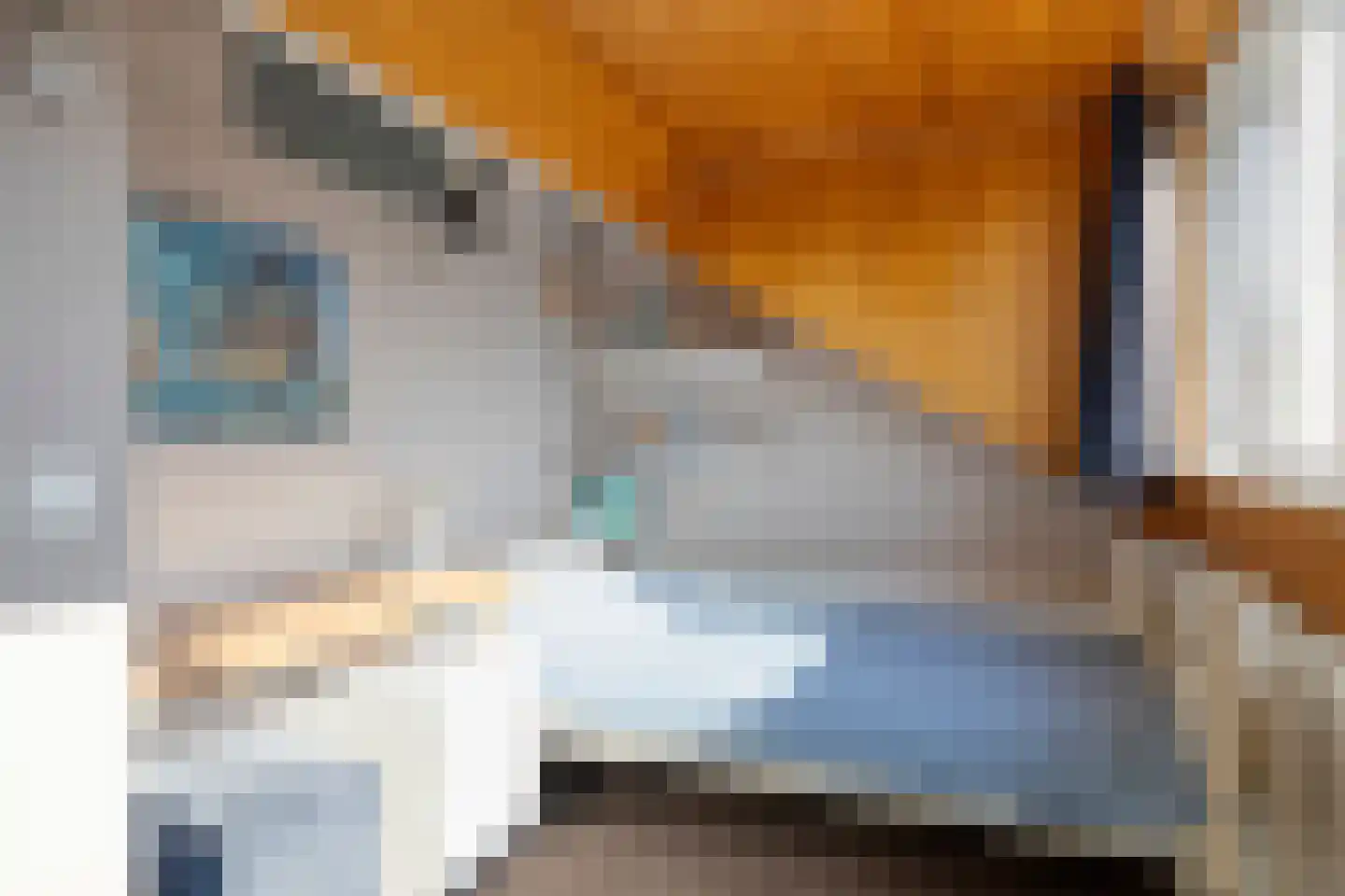 Berkenstraat 14 Valkenswaard thumbnail 30