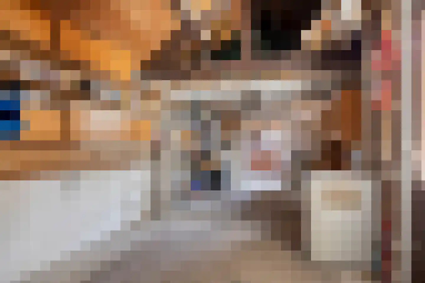 Berkenstraat 14 Valkenswaard thumbnail 32