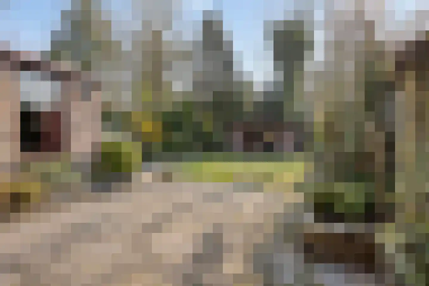 Berkenstraat 14 Valkenswaard thumbnail 37