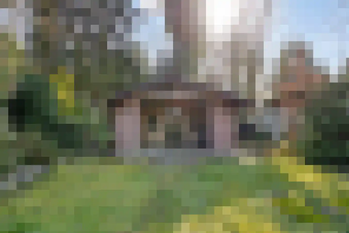 Berkenstraat 14 Valkenswaard thumbnail 39