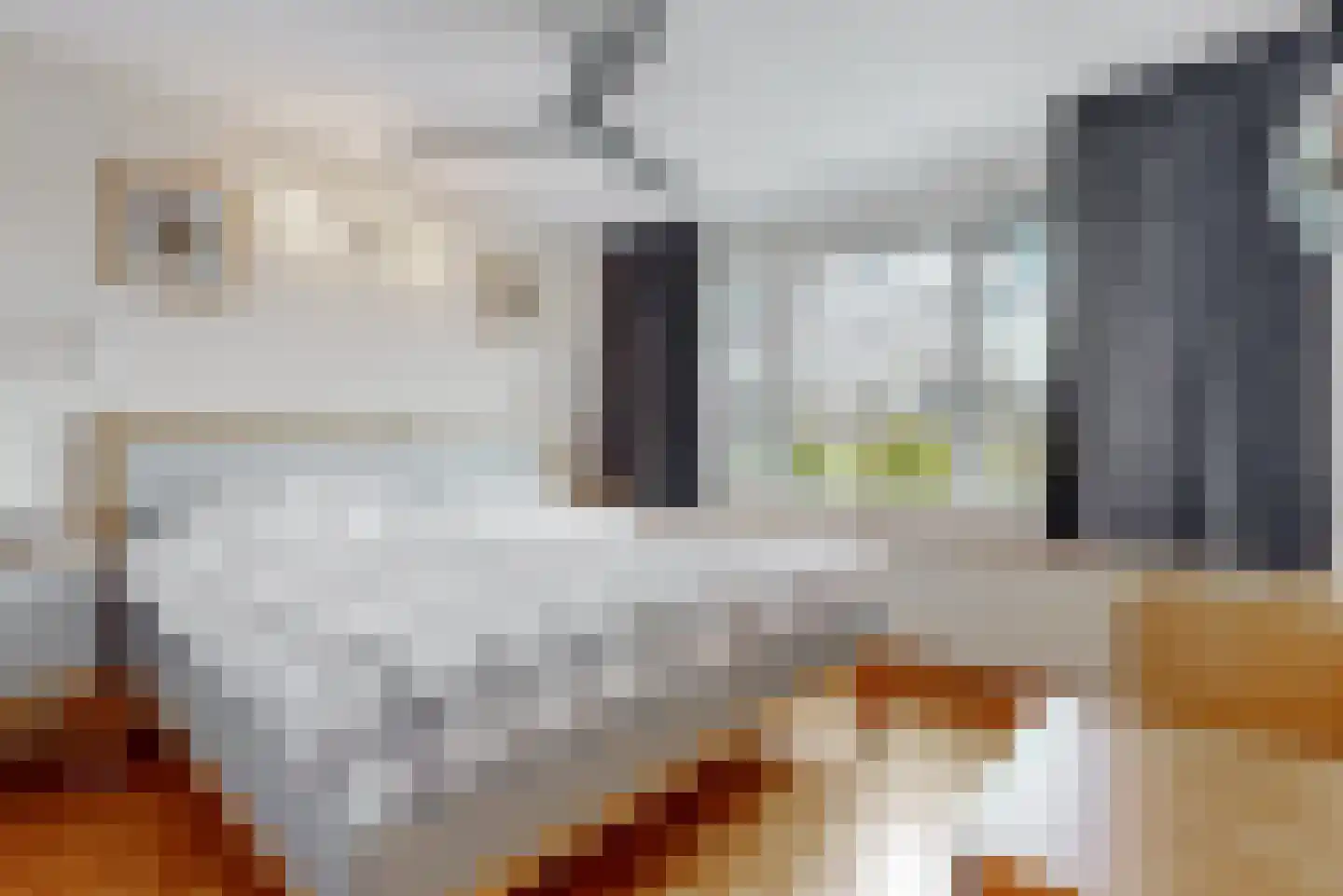 Berkenstraat 17 Uitgeest thumbnail 16