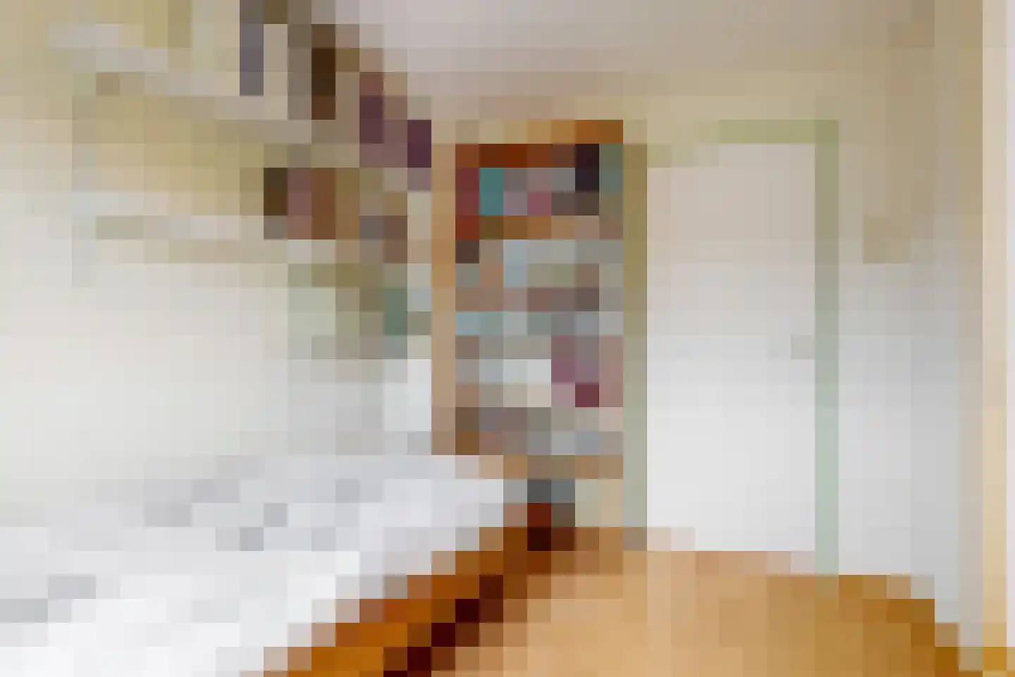 Berkenstraat 17 Uitgeest thumbnail 19
