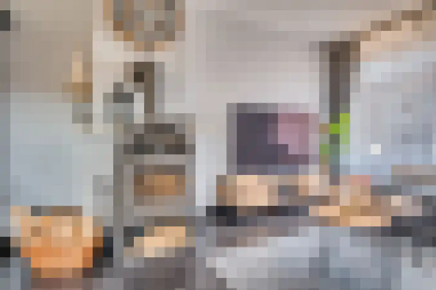 Berkenstraat 17 Venlo thumbnail 8
