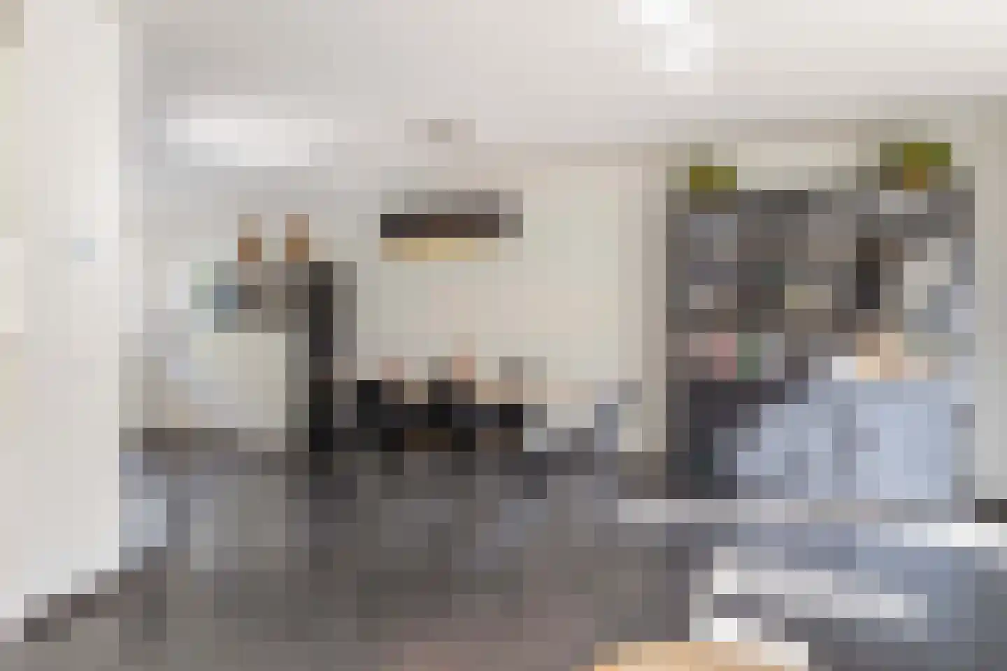 Berkenstraat 20 Bunschoten-Spakenburg thumbnail 8