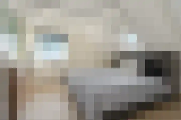 Berkenstraat 23 Heijen thumbnail 16