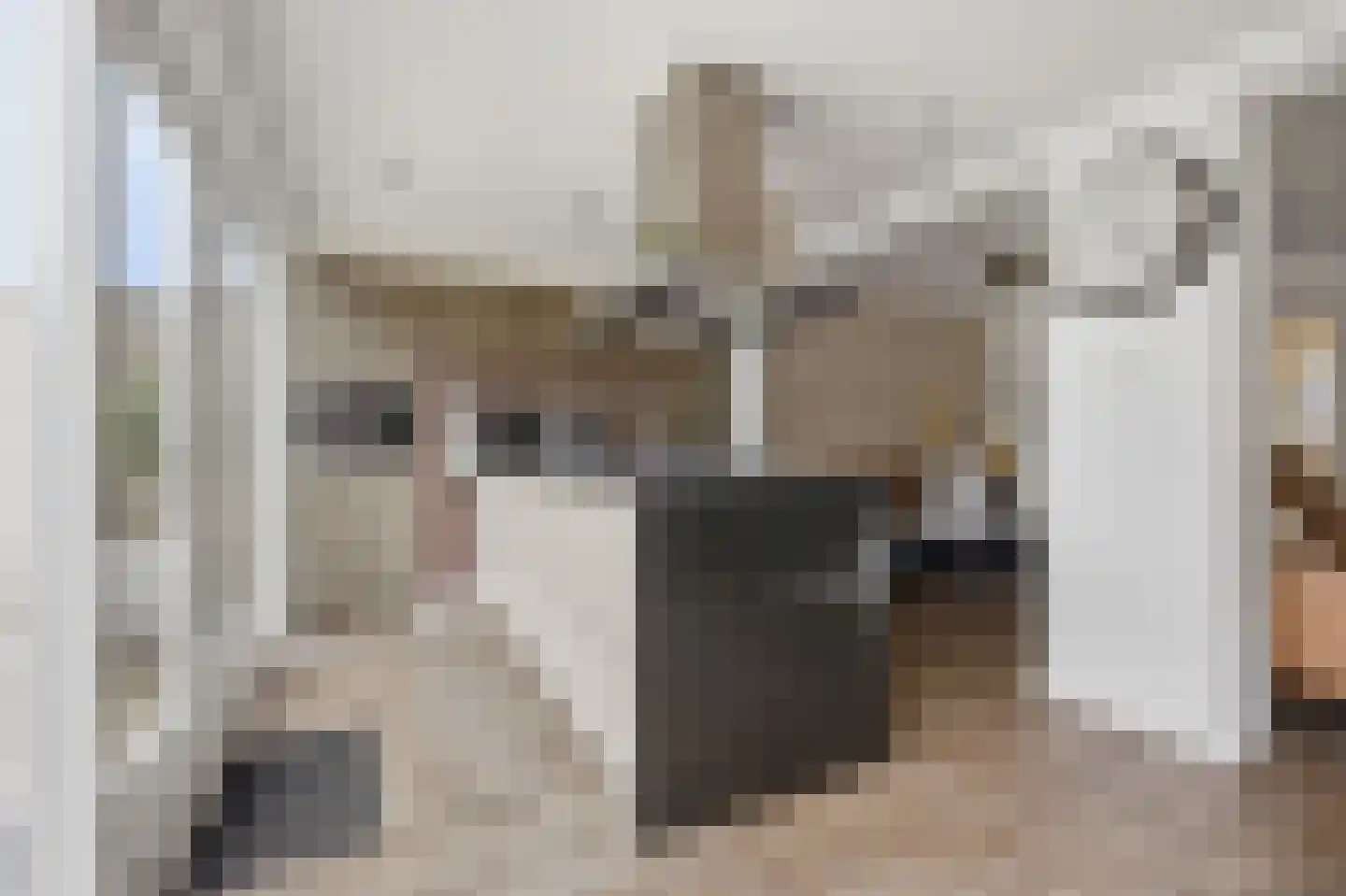 Berkenstraat 26 Raamsdonksveer thumbnail 15